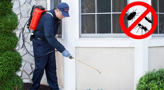 Çamaş Hamam Böceği İlaçlama böcek ilaçlama ve haşere kontrolü — ilaclama-tr.com